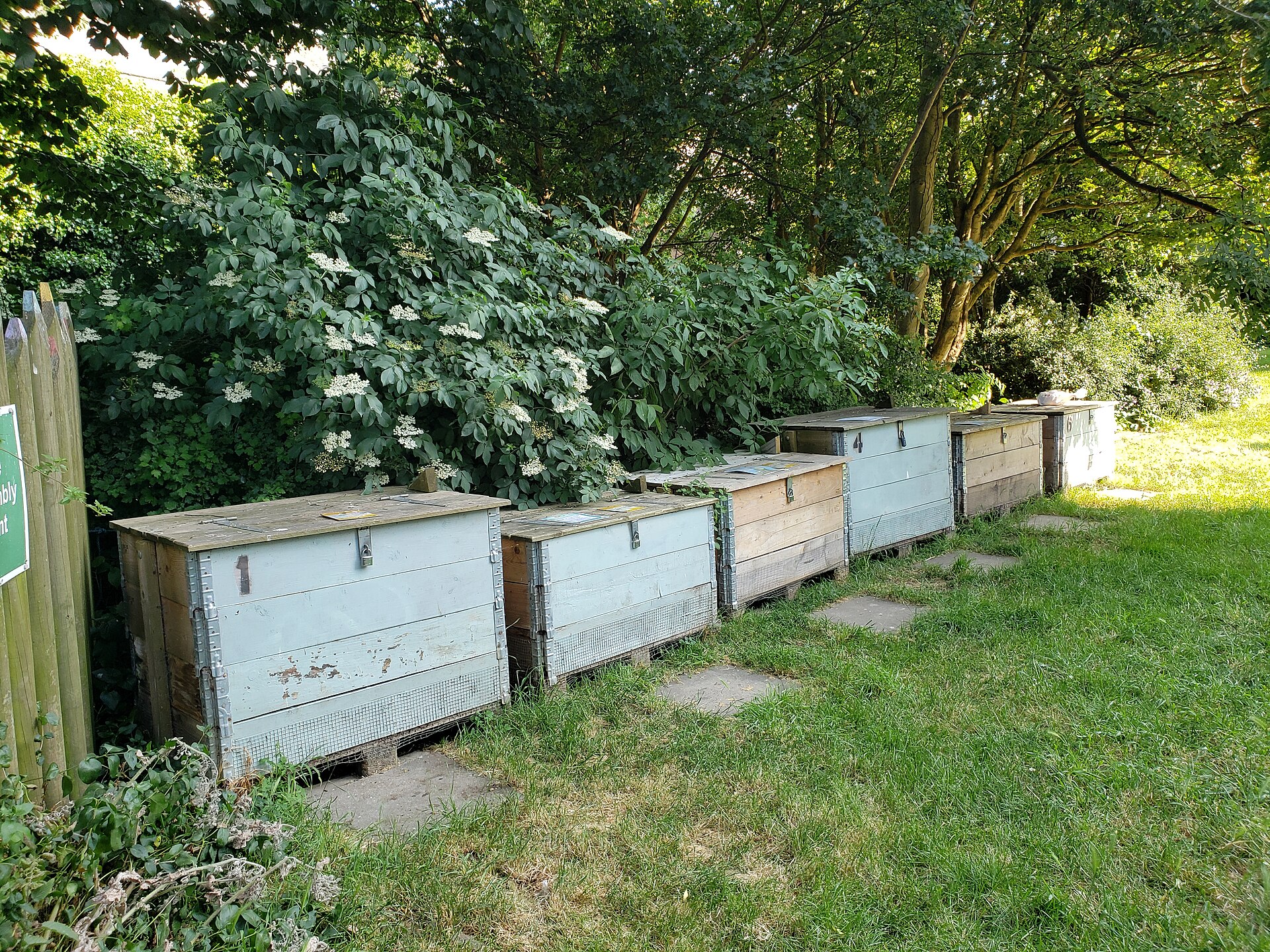 A row of clean compost bins in a community garden