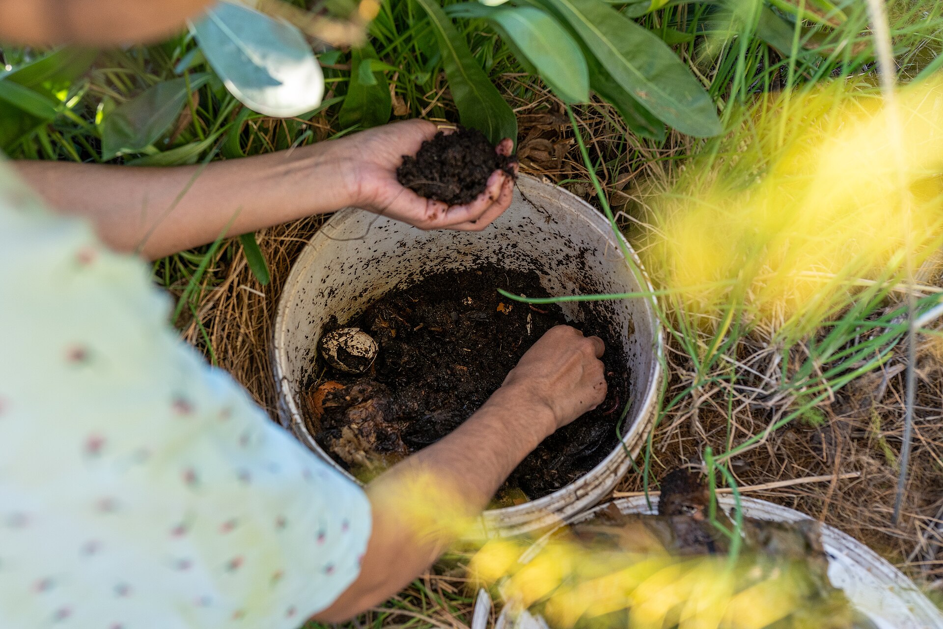 Hands placing a vermicompost bucket into a garden planter