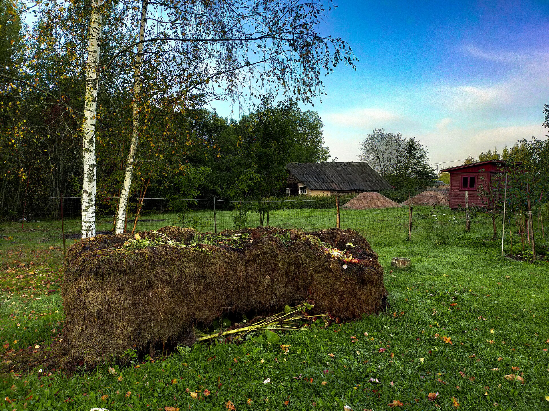A freshly turned compost heap in a farmstead garden