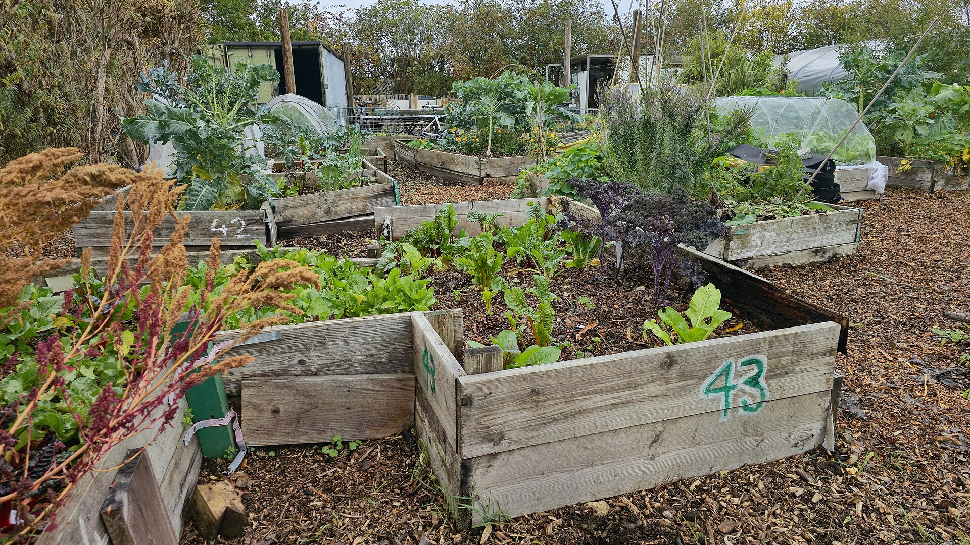 Raised vegetable garden beds with layered soil