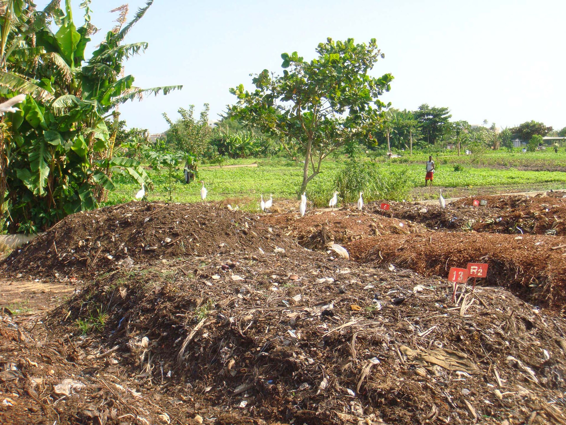 A close view of shredded compost ready for sifting