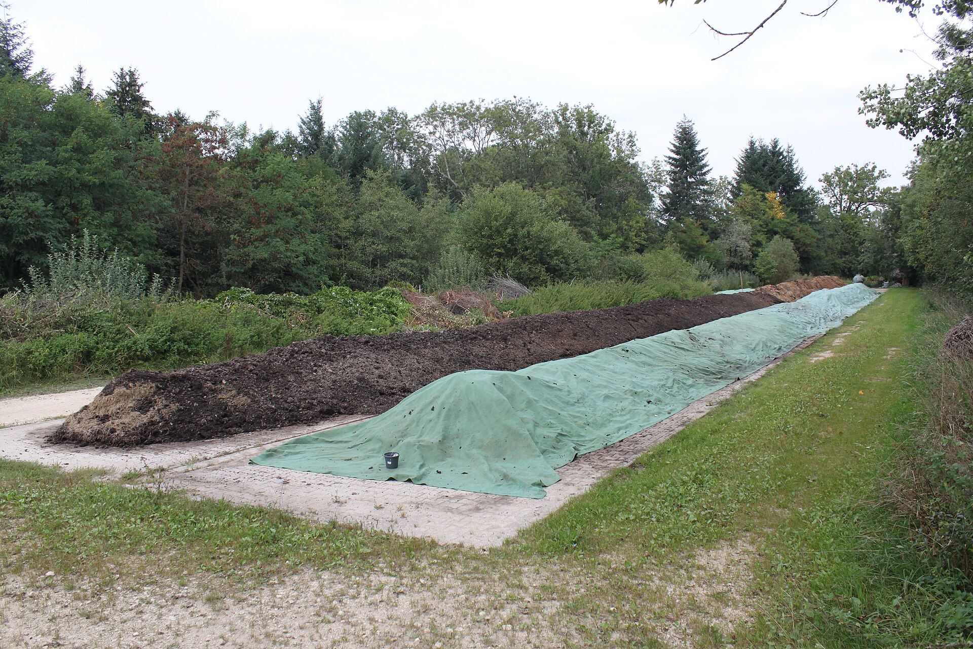Long compost windrows in a forested garden setting